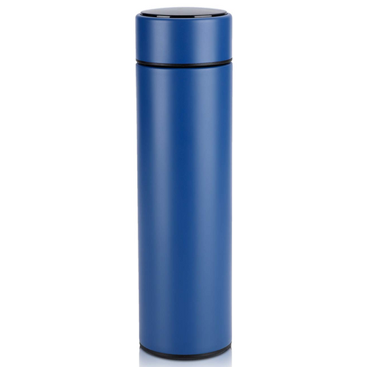 Temperature Display Water Bottle