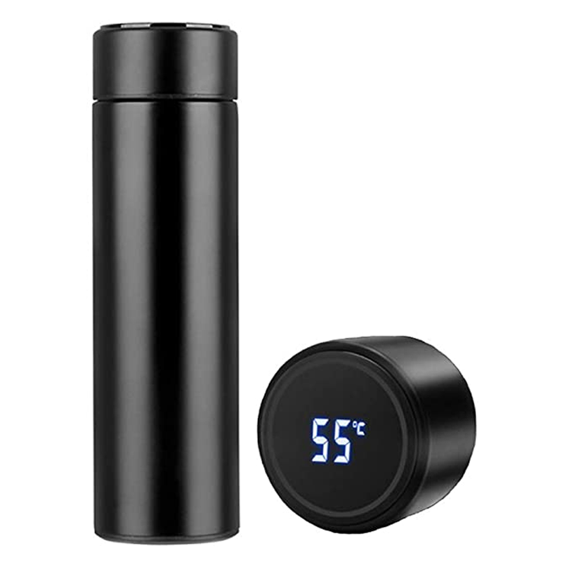 Temperature Display Water Bottle