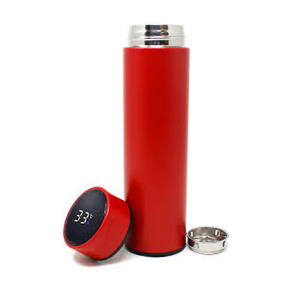 Temperature Display Water Bottle