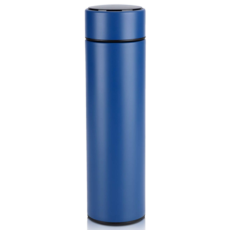 Temperature Display Water Bottle