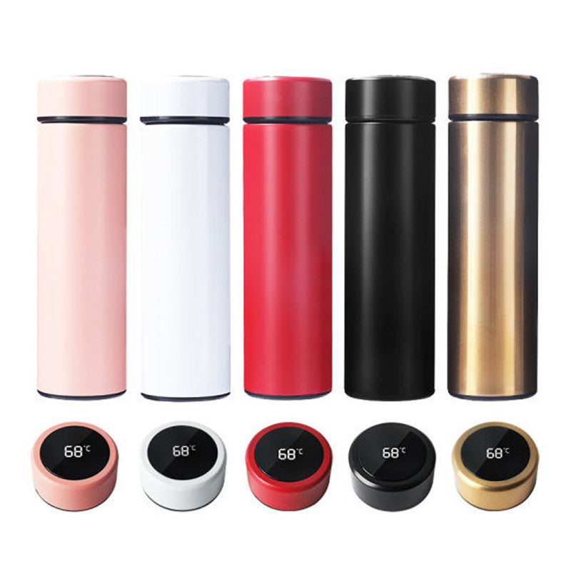 Temperature Display Water Bottle