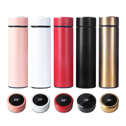 Temperature Display Water Bottle